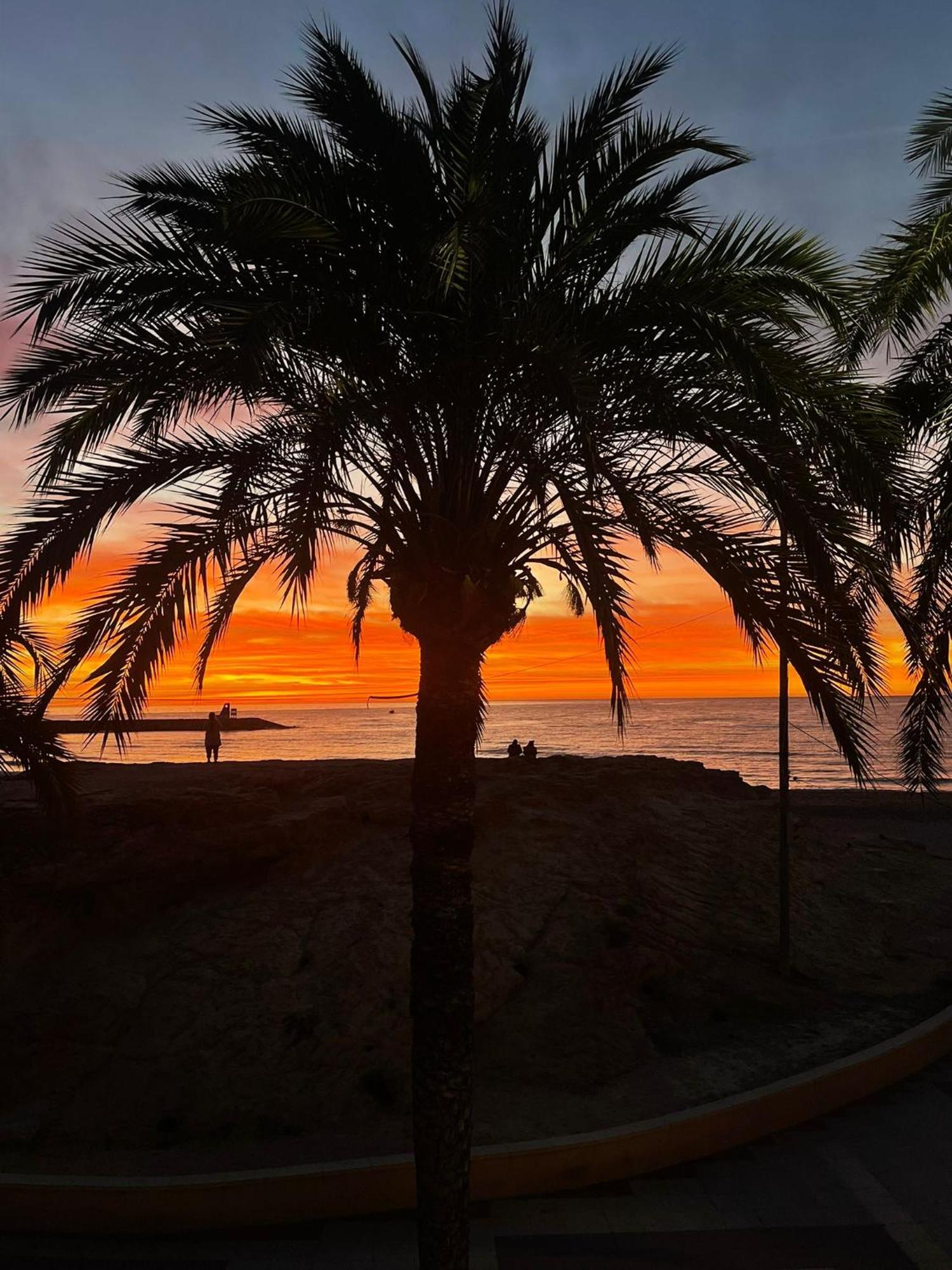 Modern Apartment Directly On The Beach With Wifi And Air Conditioning El Campello Εξωτερικό φωτογραφία